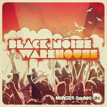 Black Noise Warehouse MULTiFORMAT DVDR