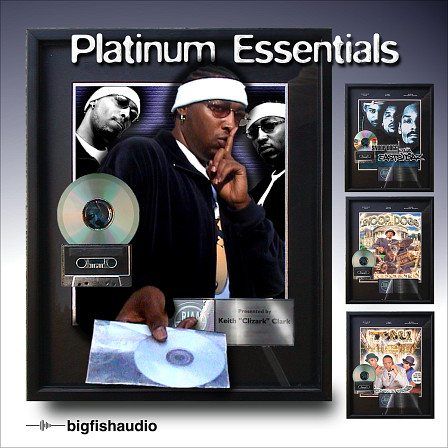 Platinum Essentials Vol.1 WAV