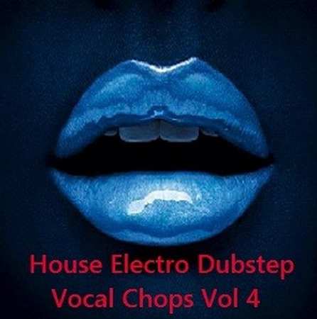 Vocal Chops Vol 4