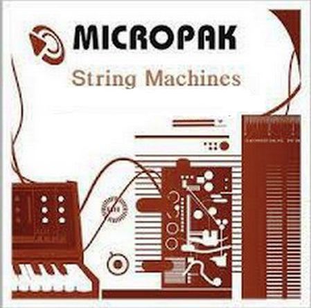 String Machines Ableton Live EXS KONTAKT