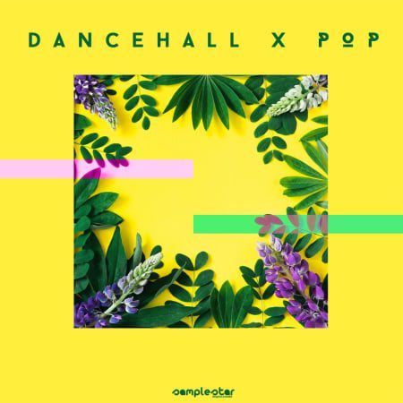 Dancehall x Pop WAV REPACK-FLARE