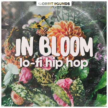 Bloom Lofi Hip Hop MULTiFORMAT-FLARE