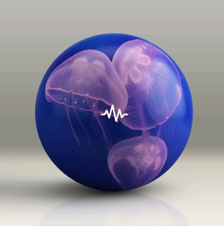 JellyFish (Dancehall Drum Kit) WAV