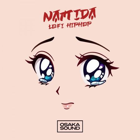 Namida Lo-Fi Hip Hop WAV-DISCOVER