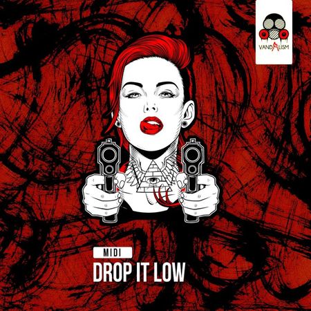 Drop It Low MiDi-DISCOVER
