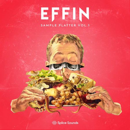Effin Sample Platter Vol. 1 WAV-FLARE