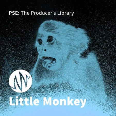 Little Monkey WAV-FLARE