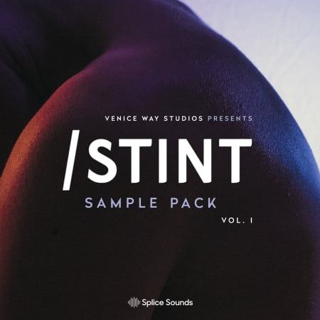 STINT Sample Pack WAV-FLARE