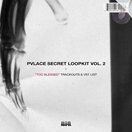 Secret Loopkit Vol.2 WAV