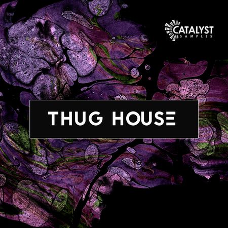 Thug House MULTiFORMAT-DECiBEL