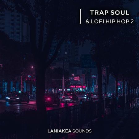 Trap Soul And Lofi Hip Hop 2 WAV-FLARE