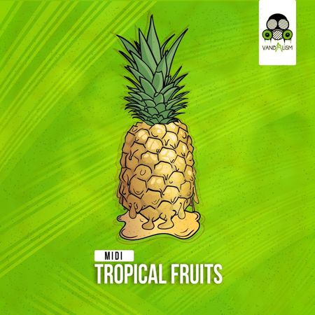 Tropical Fruits MiDi-DISCOVER