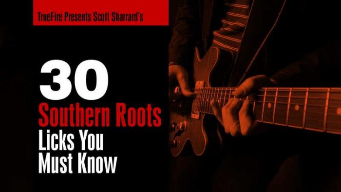 30 Southern Roots Licks You MUST Know TUTORiAL