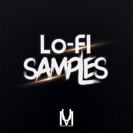 Lofi Samples MULTiFORMAT-FLARE