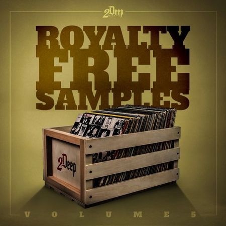 Royalty Free Samples Volume 5 WAV-DISCOVER