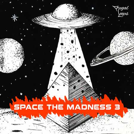 Space The Madness 3 WAV-FLARE
