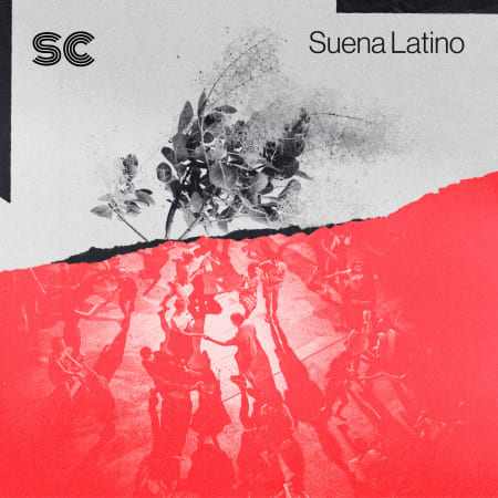 Suena Latino MULTiFORMAT-FLARE