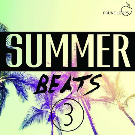 Summer Beats Vol 3 WAV MIDI-DECiBEL