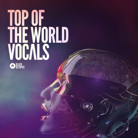 Top Of The World Vocals MULTiFORMAT-FLARE