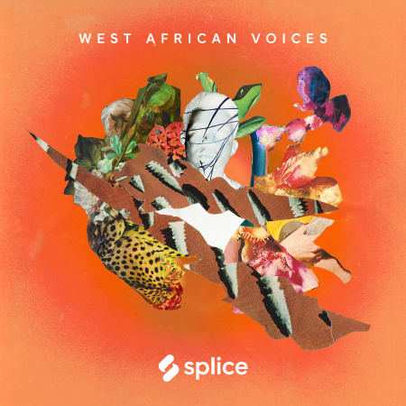 West African Voices WAV-FLARE