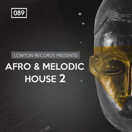 Afro And Melodic House 2 MULTiFORMAT-DISCOVER