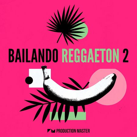 Bailando Reggaeton 2 MULTiFORMAT-FLARE