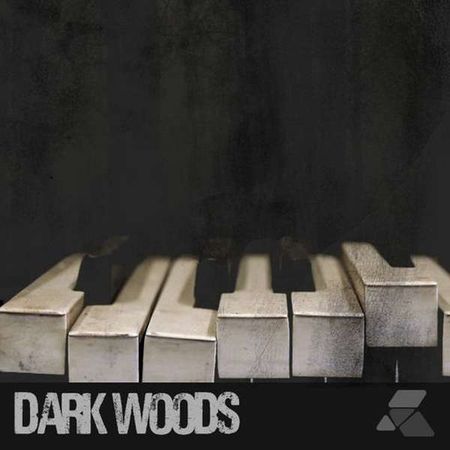 Dark Woods WAV-DECiBEL
