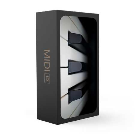 MIDI ID Ultimate Midi Chord Collection-FLARE