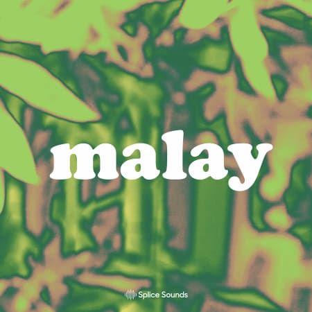 Malay Sample Pack WAV