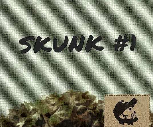 Skunk 1 WAV-DECiBEL
