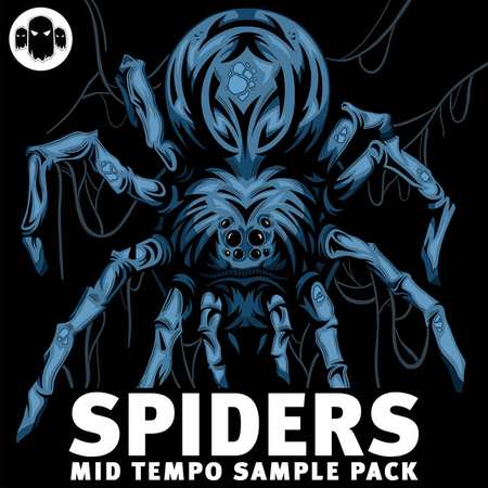 Spiders WAV-DISCOVER