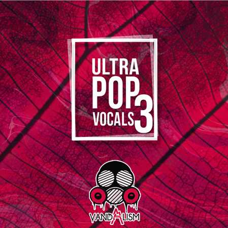 Ultra Pop Vocals 3 WAV MIDI-DECiBEL