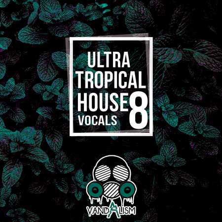 Ultra Tropical House Vocals 8 WAV MIDI-DECiBEL