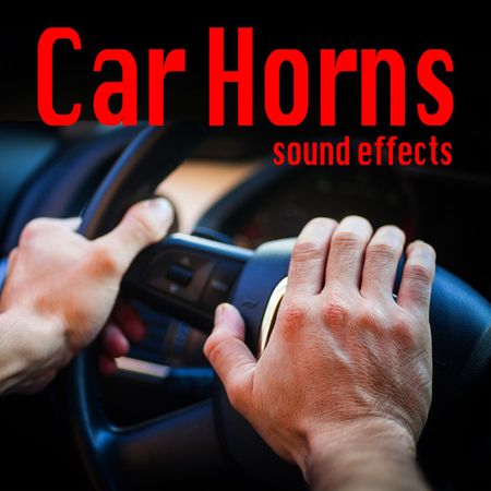Car Horns Sound Effects FLAC