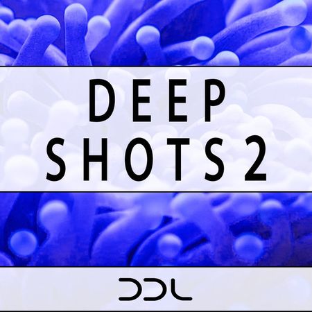 Deep Shots 2 WAV-DISCOVER