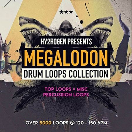 Megalodon Drum Loops Collection WAV-DISCOVER