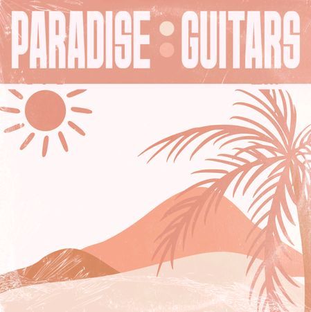 Paradise Guitars WAV-DISCOVER