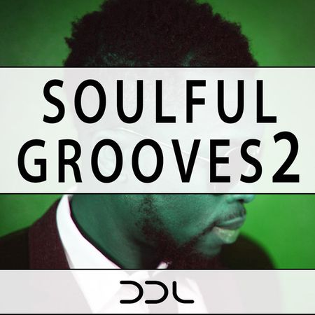 Soulful Grooves 2 WAV MiDi-DISCOVER