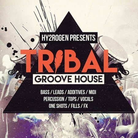 Tribal Groove House MULTiFORMAT-DISCOVER