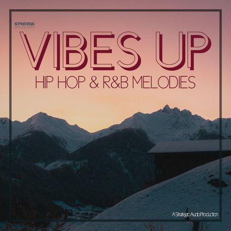 Vibes Up Hip Hop R&B Melodies Wav