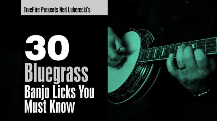 30 Bluegrass Banjo Licks You Must Know TUTORiAL