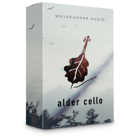 Alder Cello KONTAKT-DECiBEL