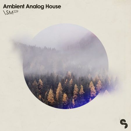 Ambient Analog House WAV MIDI