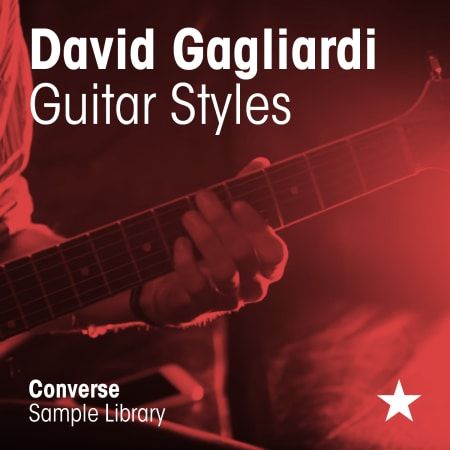 David Gagliardi Guitar Styles WAV-FLARE