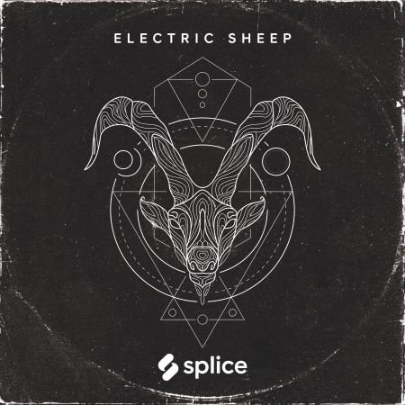 Originals Electric Sheep WAV