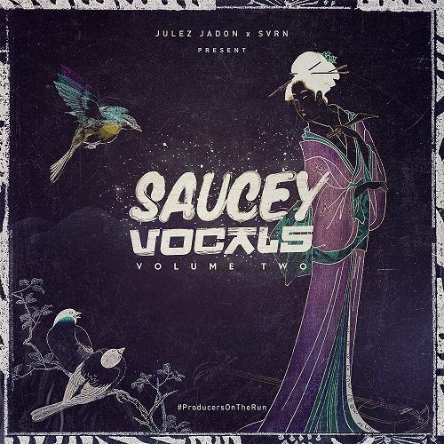 Saucey Vocals Vol.2 WAV