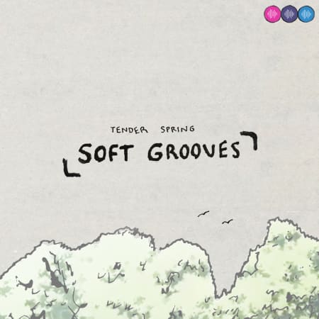 Soft Grooves WAV