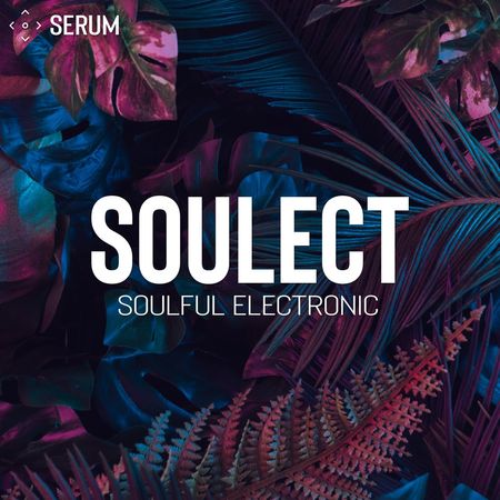 Soulect For Xfer Records Serum MULTiFORMAT