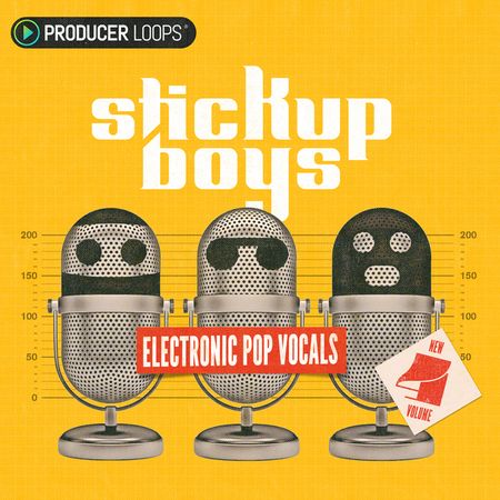 Electronic Pop Vocals Vol 4 MULTiFORMAT-DISCOVER