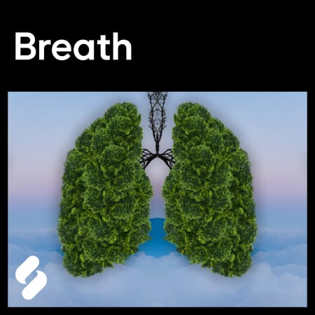 explores breath wav